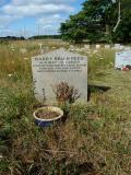 image of grave number 113007